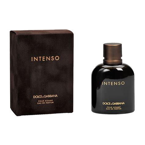 intenso dolce gabbana 100ml